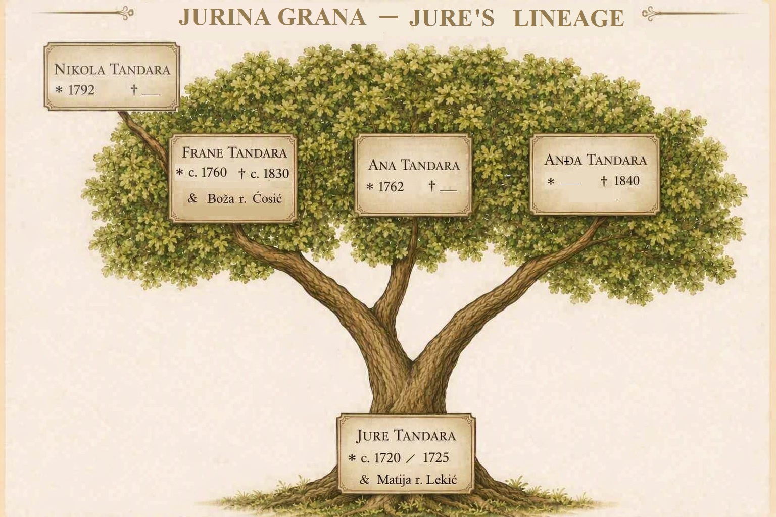 Jure's branch